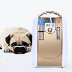 Veterinarian Uses 1L Oxygen Concentrator Oxygen Machine for Pet